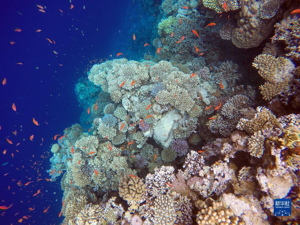 搜狗浏览器